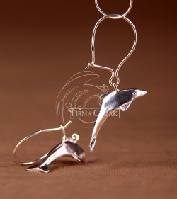 dolphin earrings on biglu
